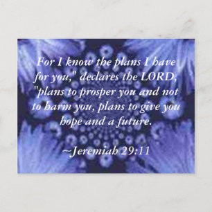 Postal Jeremiah 29:11 Cartão de Posto Azul Daisy