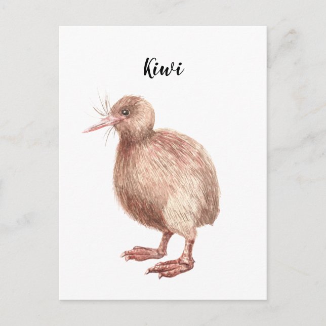 Postal Kiwi com aquarela pintada com cartão de pássaro. (Frente)
