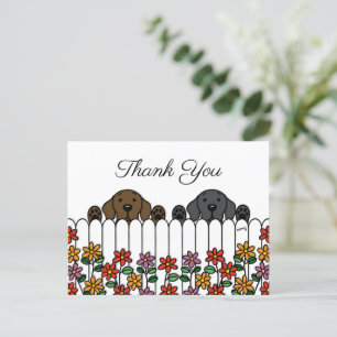 Postal Labrador Duo Assistindo Você Obrigado Cartão Pos