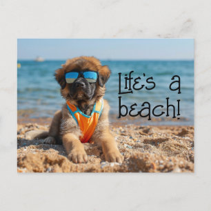 Postal Leonberger Puppy vestindo óculos escuros cartão po
