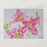 Linda Lírio em Pintura em Aquarela Rosa Cartão Pos