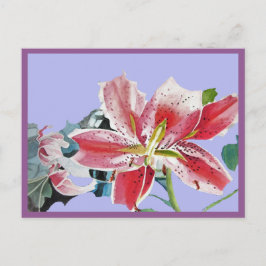Postal Linda Lírio Vermelho Aquarela Lilás Cartão de Aniv