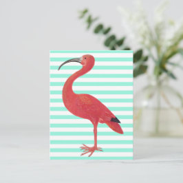 Postal Listras do flamingo & da cerceta - cartão das