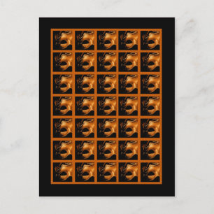 Postal Marcadores de Cartão de Bingo Doce 16 Laranja Pre