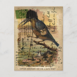 Postal Martinho pescatore do cartão