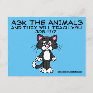 Postal Memes cristãos dos cartão do gato, 12:7 do