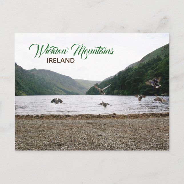 Postal Montanhas de Wicklow, cartão de Ireland (Frente)