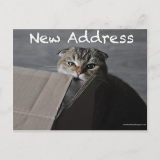 Postal Morada engraçada de gato com cartão dobrado escocê