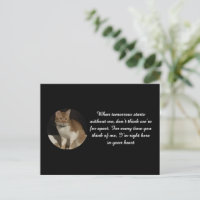 Nome da foto do gato Texto Cartão de simpatia pela