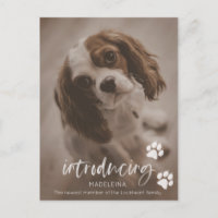 Novo Anúncio de Cachorro ou Cachorro, Cartão de Ad
