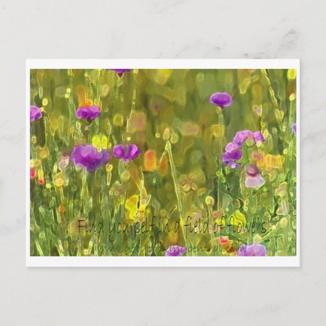 Postal O campo floresce o cartão (Frente)