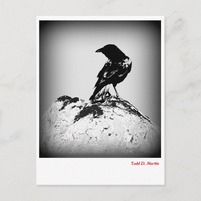 Postal O Cartão de Posto Crow (Frente)