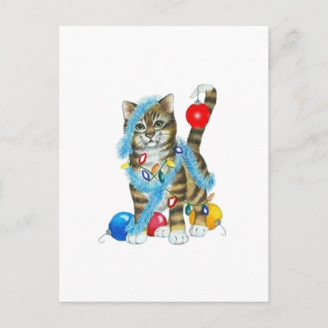 POSTAL O CARTÃO DECOROU O GATINHO (Frente)