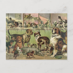 Postal O vintage persegue o cartão