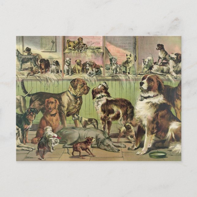 Postal O vintage persegue o cartão (Frente)