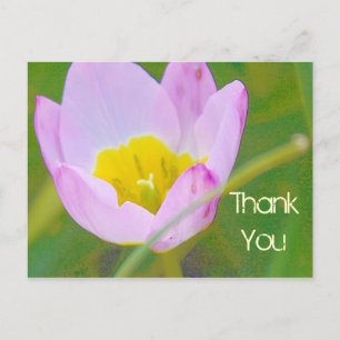 Postal obrigado de tulipas, seu cartão de vazio