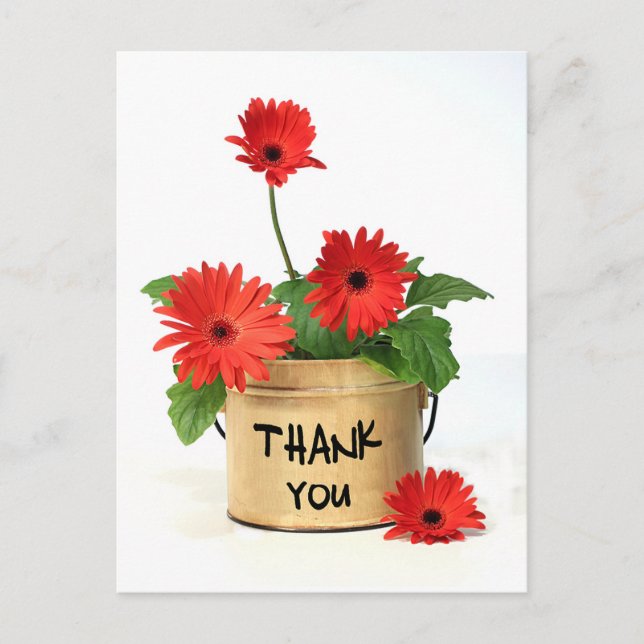 Postal Obrigado Red Gerbera Daisy Flower Pote Cartão (Frente)