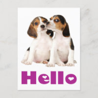 Olá Beagle Puppy Dog - Cartão de Posto