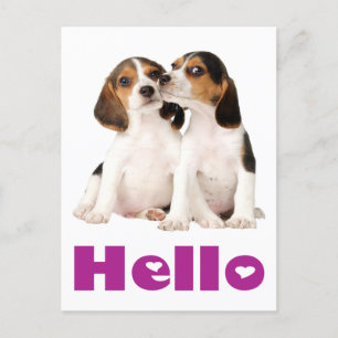 Postal Olá Beagle Puppy Dog - Cartão de Posto