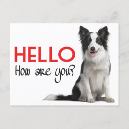 Postal Olá, Borda Collie Puppy Dog Cartão Posto