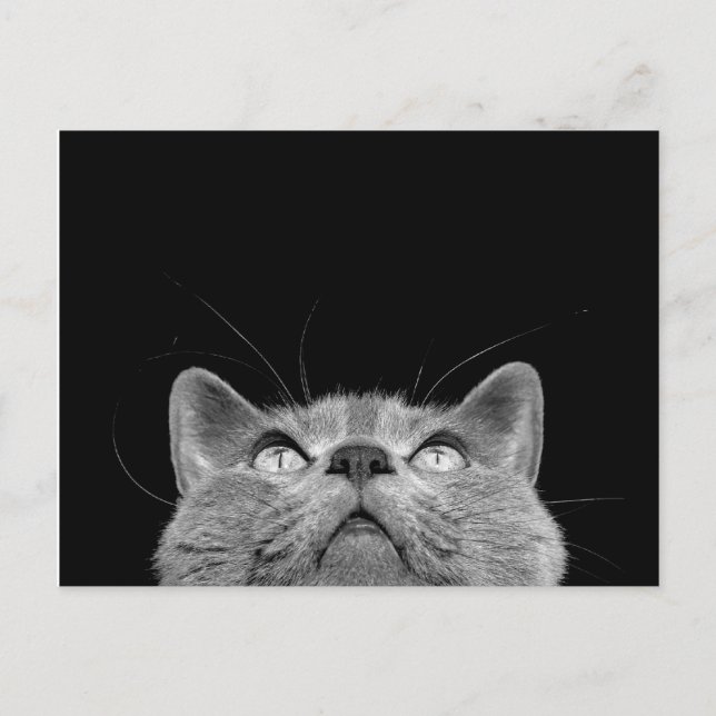 Postal Olhando acima - o cartão (Frente)