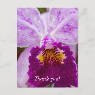 Postal Orquídea Roxa Paixão Cartão de Agradecimento