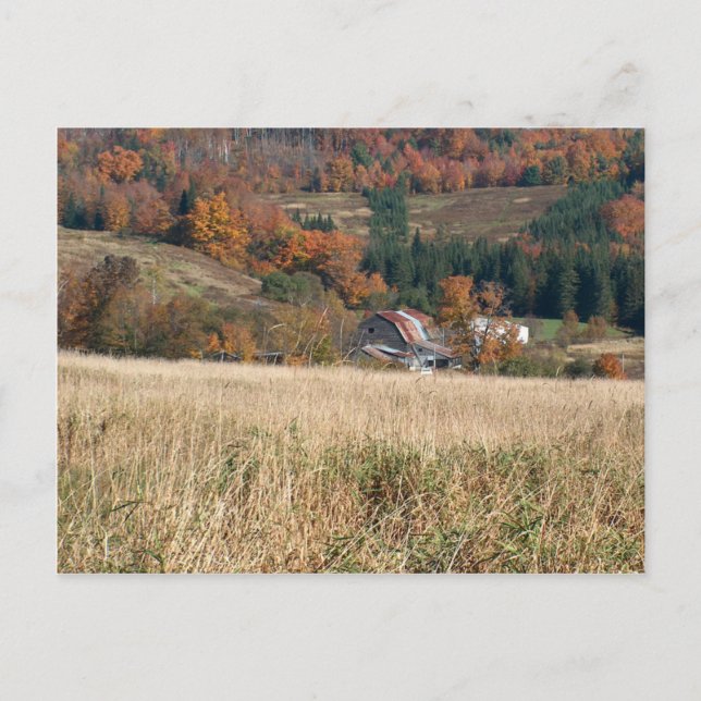 Postal Outono no cartão de Vermont (Frente)