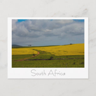Postal Paisagem da África do Sul Cena de Natureza Cartão 
