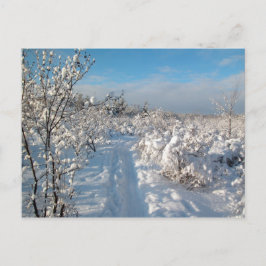 Postal Paisagem do inverno - cartão