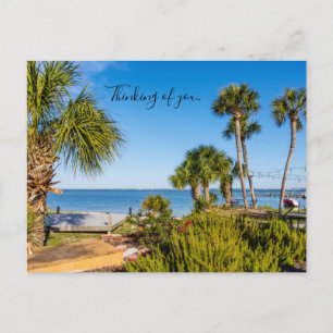Postal Palm Trees Bayside Morning Pensando No Cartão Post