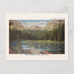 Postal Parque Nacional Rocky Mountain Wild Basin Cartão P