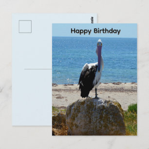 Postal Pelicano Com Olhar, Cartão de Aniversário