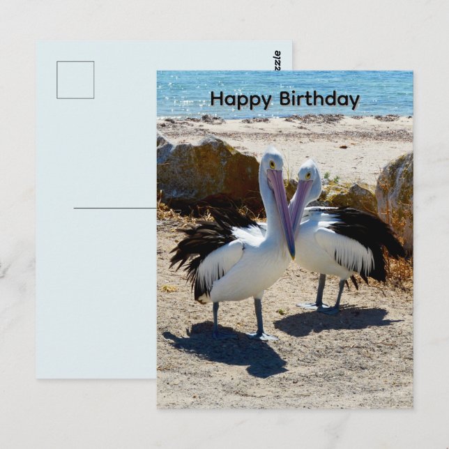 Postal Pelicanos Apaixonados, Cartão de Aniversário (Frente/Verso)