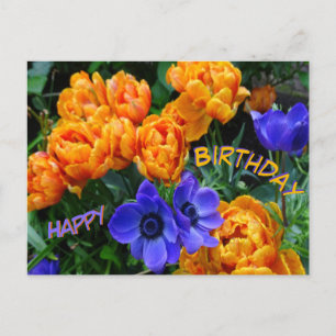 Postal Peony Tulips & Anemones Feliz Aniversário Cartão P