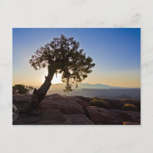 Postal Personalizável: Canyonlands e Cartão de Ponto de C