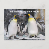 Pinguins-Rei Postcrossing Cartão de Aniversário Di