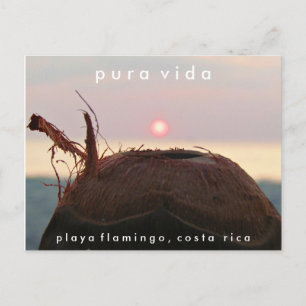 Postal Plya Flamingo Sunset Coconut Costa Rica Cartão pos