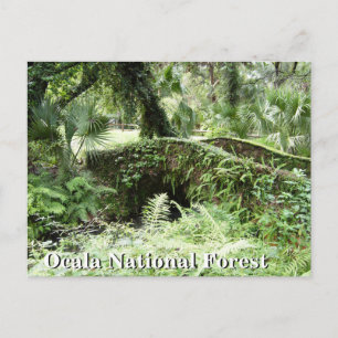 Postal Ponte no cartão de posto da Floresta Nacional de O
