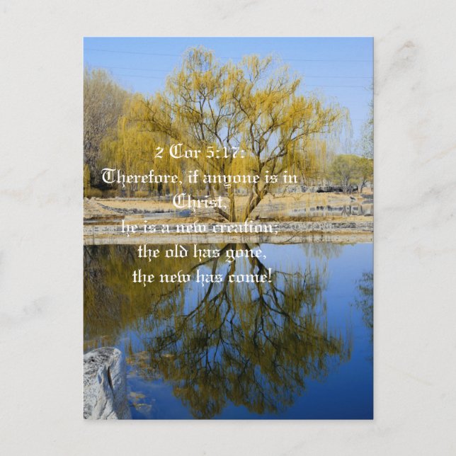 Postal Portanto, se alguém estiver no Cristo, cartão post (Frente)