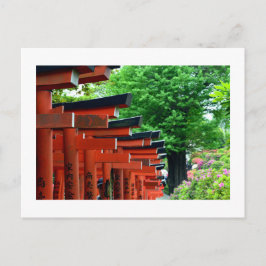 Postal Portões Torii, Nezu Shrine: Tóquio, Japão Cartão P