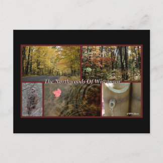 Postal Pôster da Natureza Northwoods Wisconsin Cartão Pos
