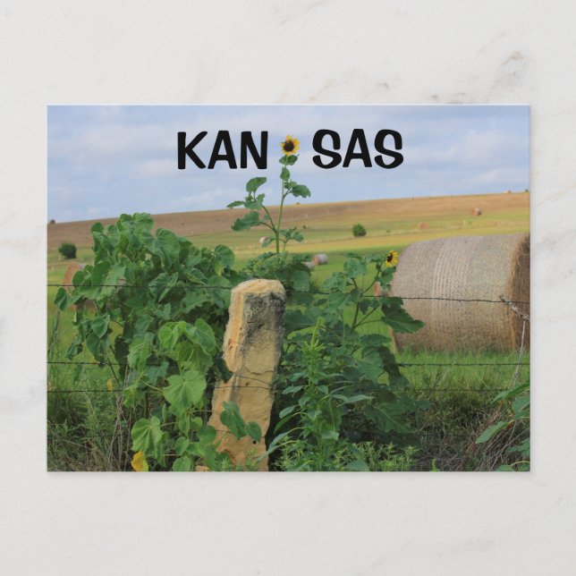 Postal Posto Kansas Stone com Cartão de Posto Sunflower (Frente)