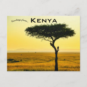 Postal Reserva Nacional Masai Mara no Quênia Cartão Posta