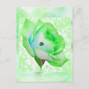 Postal Rosa irlandês e aniversário! Cartão