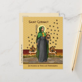 Postal Rua. Gobnait of Ballyvourney (SAE 003) Cartão post
