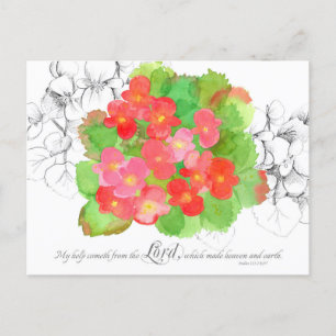 Postal Salmos 121 Cartão De Oração Laranja Flores Begonia