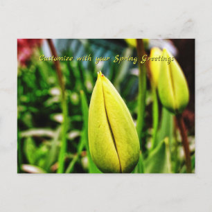 Postal Saudações de Primavera Tulipas Amarelas Cartão Pos