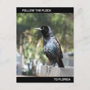 Postal Siga o cartão de Posto de bloqueio na Flórida