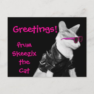 Postal Skeezix o cartão do gato