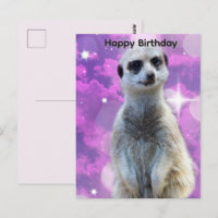 Suricata Com Brilho, Cartão de Aniversário